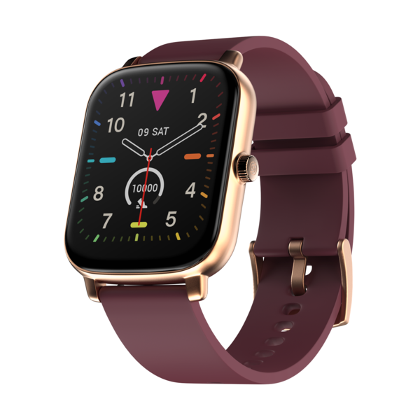 Buy Noise ColorFit Icon Buzz 1.69 inch Bluetooth Calling Smartwatch (Deep Wine) on EMI