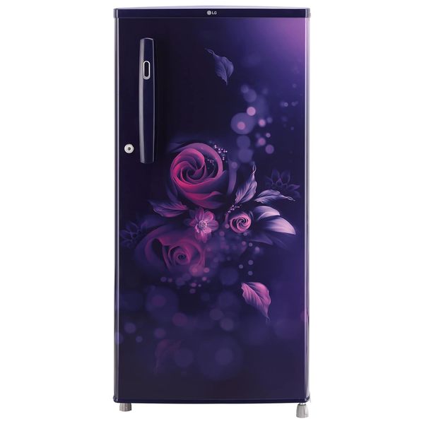 Buy LG 190 L 2 Star Direct-Cool Single Door Refrigerator (GL-B199OBEC, Blue Euphoria, Fast Ice Making, 2022 Model) on EMI