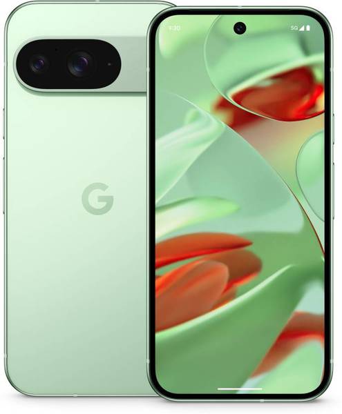 Buy Google Pixel 9 (Wintergreen, 256 GB)  (12 GB RAM) on EMI