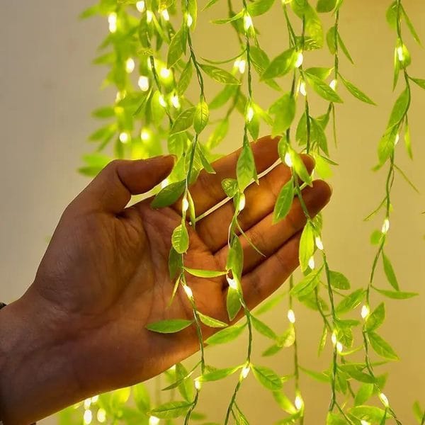 Buy Zortapla Diwali Multi Color Light Green Leaf Lights for Festive/Party (10 Feet, Pack of 6,Multicolor) on EMI