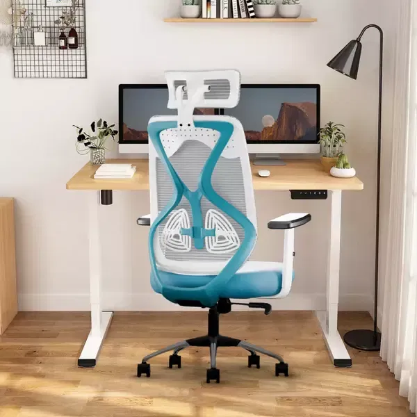 Buy Ergonomic Mesh Executive Office & Home Chair (Blue) on EMI