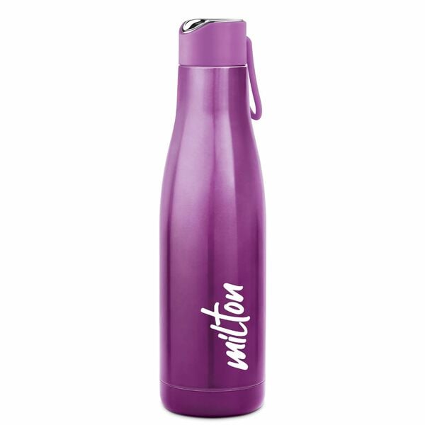 Buy Milton Fame 800 Thermosteel Water Bottle 740 ml-Purple on EMI