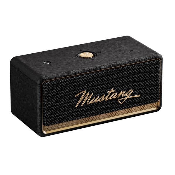 GOBOULT Mustang GT 20, Dual Dynamic Drivers, RGB LEDs, Bass Radiator, BTv 6, 7Hr Battery 20 W Bluetooth Speaker (Turbo black, Stereo Channel)