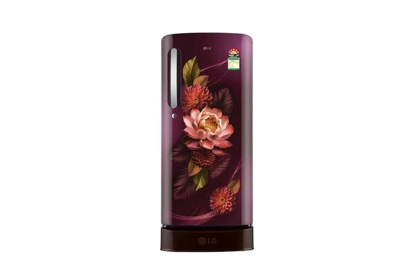 Buy LG 185 L Single Door Refrigerator with Base Stand Drawer, Smart Inverter Compressor, Red Water Lily, 5 Star on EMI